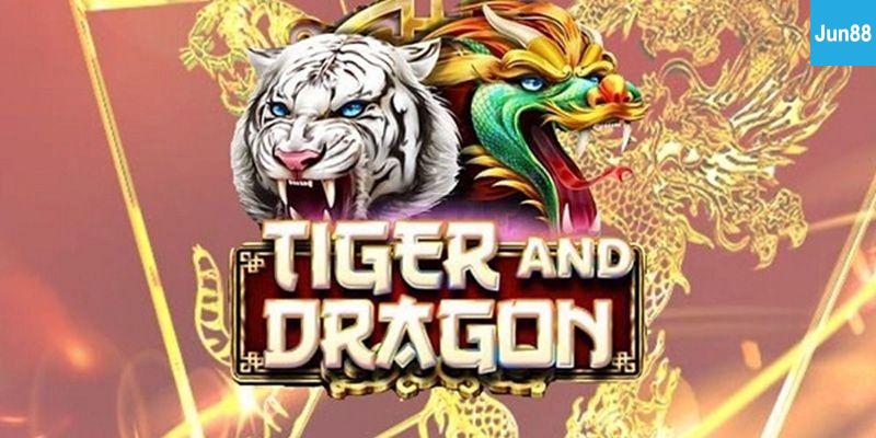 Hướng dẫn chơi Rồng Hổ Rồng Hổ Là Gì? Tại Sao Rồng Hổ Được Ưa Chuộng?