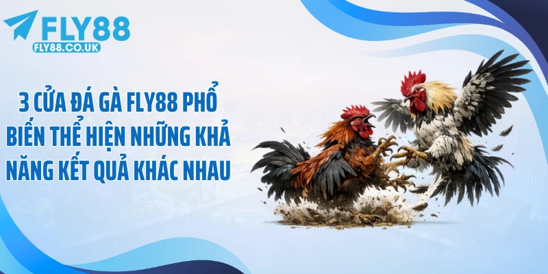 3 cửa đá gà Fly88 phổ biến thể hiện những khả năng kết quả khác nhau