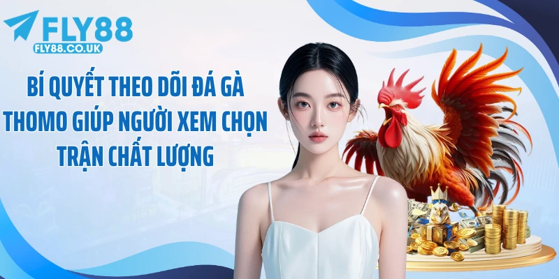 Bí quyết theo dõi đá gà Thomo giúp người xem chọn trận chất lượng