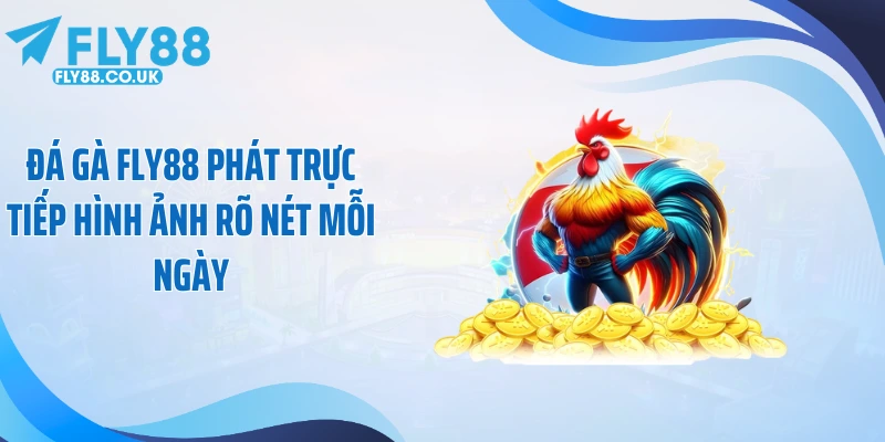 Đá gà Fly88 phát trực tiếp hình ảnh rõ nét mỗi ngày