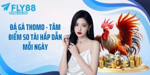 Đá Gà Thomo - Tâm Điểm So Tài Hấp Dẫn Mỗi Ngày