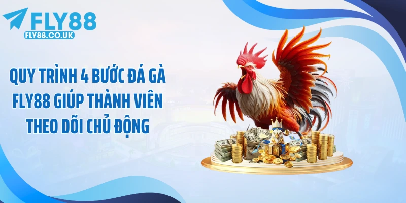 Quy trình 4 bước đá gà Fly88 giúp thành viên theo dõi chủ động
